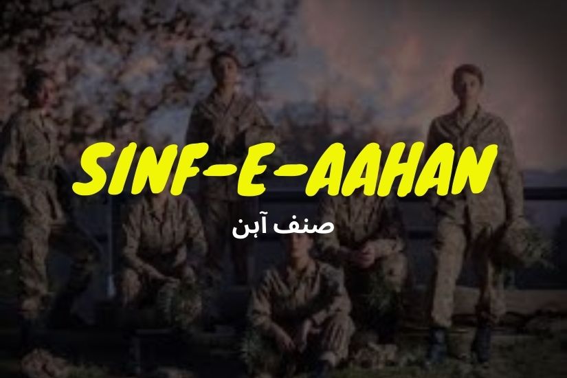 SINF-E-AAHAN:  FULL OF ENTERTAINMENT, ORIENTATION AND TRAINING SKILLS
